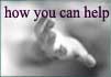 How You Can Help